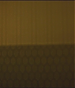 DSF-B074.jpg