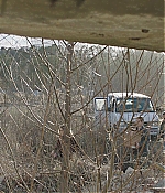DSF-M0212.jpg