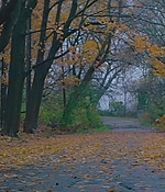 DSF-A026.jpg