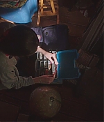 DSF-ITD354.jpg