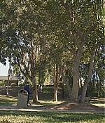 DSF103-244.jpg